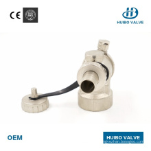 Nickel Plated Brass Air Vent Valve with Ce Mark